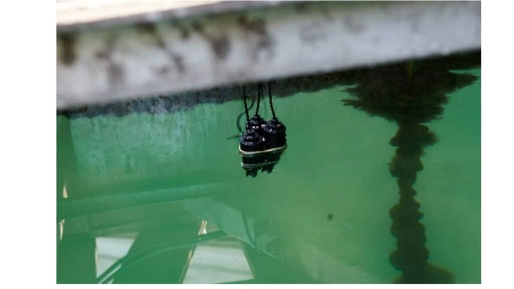 Dispositivos sumergidos en agua verde bajo puente