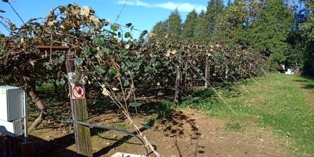 Viñedo con letrero de advertencia en el poste.